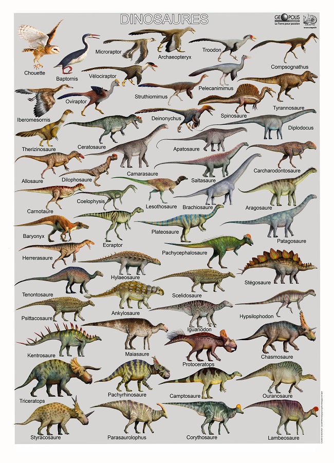 2 posters Dinosaures