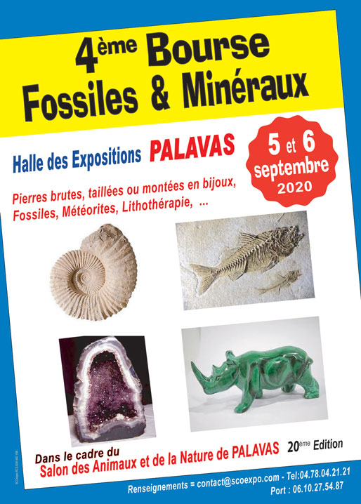 flyers-palavas-2020-fossile