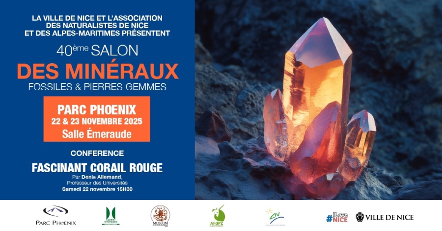 518276903-1059139939530961-4145299583489540777-n