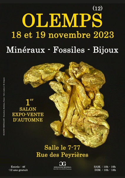 affiche-1er-salon-mineraux-fossiles-bijoux-d-automne-de-olemps