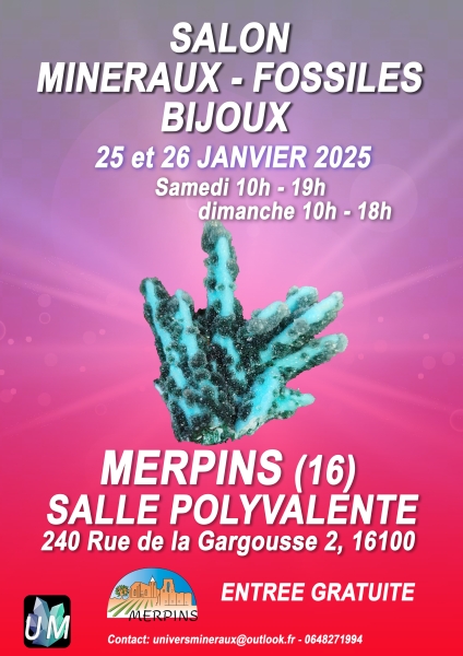 affiche-2-merpins