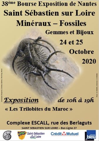 affiche-bourse-exposition-2020