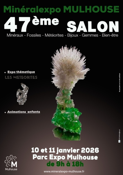 affiche-mineralexpo-mulhouse-2026