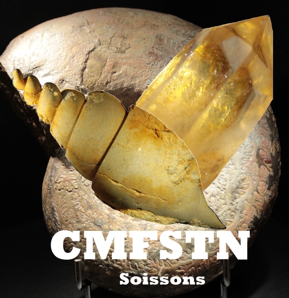 CMFSTN Logo 2023