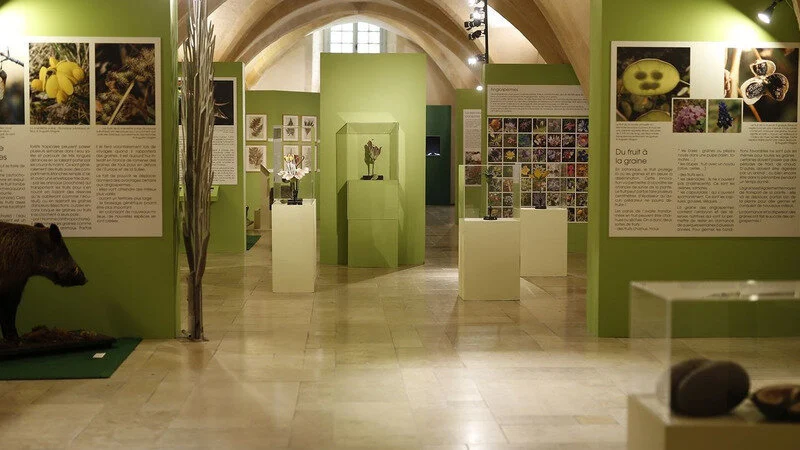 yRyXgHgHcohdJgs 800x450 noPad