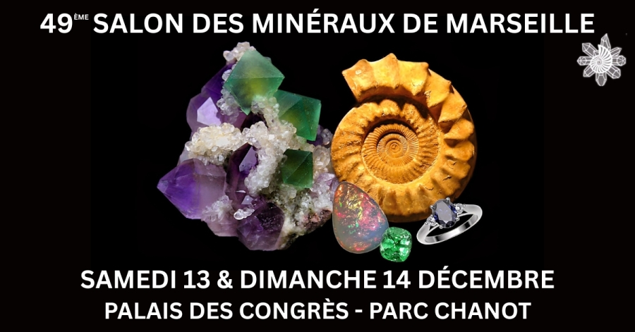 524307311-1313739187422111-7849051508080872559-n