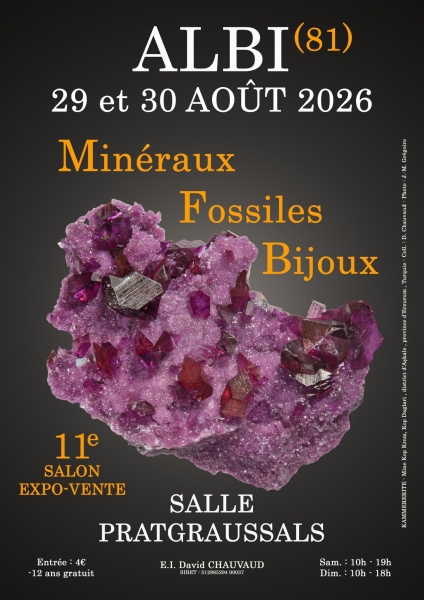 affiche-11e-salon-mineraux-fossiles-bijoux-d-albi