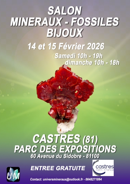 affiche-2-castres-2026