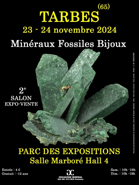 affiche-2e-salon-mineraux-fossiles-bijoux-de-tarbes-1-3-mo