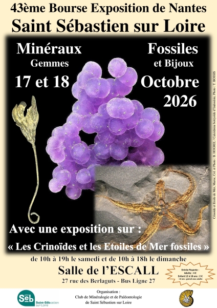 affiche-43eme-bourse-exposition-de-mineraux-et-fossiles-officiel-2026