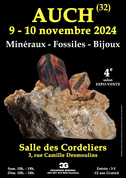 affiche-4e-salon-mineraux-fossiles-bijoux-de-auch