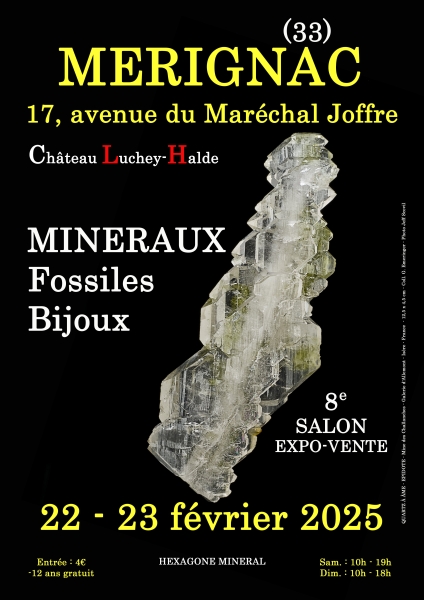 affiche-8e-salon-mineraux-fossiles-bijoux-de-merignac