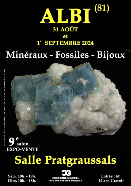 affiche-9e-salon-mineraux-fossiles-bijoux-d-albi