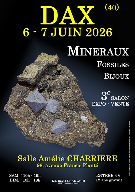 affiche-dax-2026-petit-format