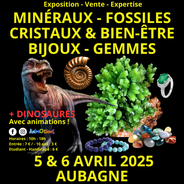 aubagne-dino-2