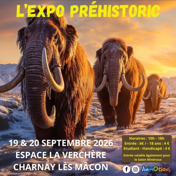 macon-1-prehistoire-2026